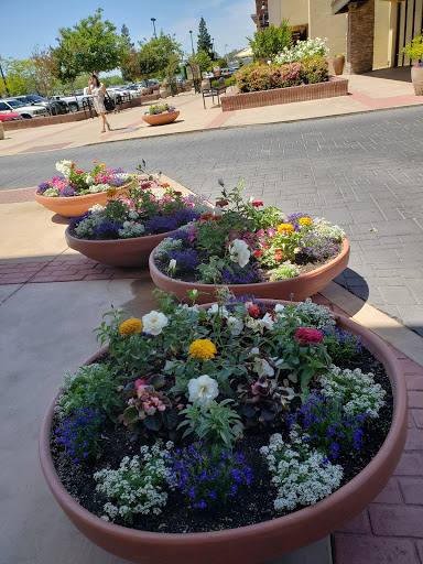 Department Store «Marshalls», reviews and photos, 7975 Greenback Ln, Citrus Heights, CA 95610, USA