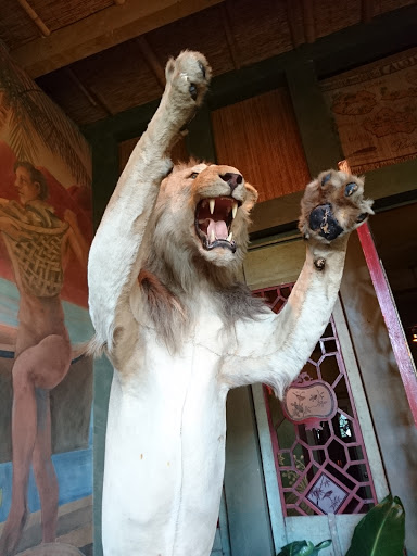 Event Venue «Urban Light Studios», reviews and photos, 8537 Greenwood Ave N Suite 1, Seattle, WA 98103, USA