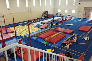 Victoria Gymnastics image