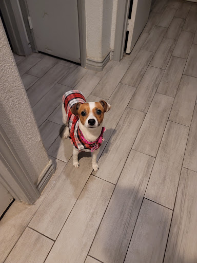 6115 W Charleston Blvd, Las Vegas, NV 89146, USA