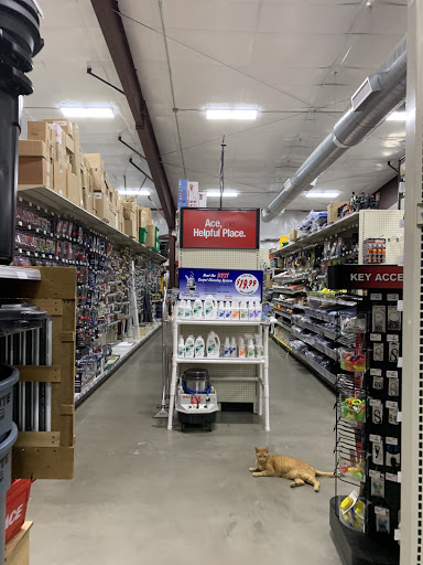 Home Improvement Store «Katy Hardware», reviews and photos, 813 Avenue B, Katy, TX 77493, USA