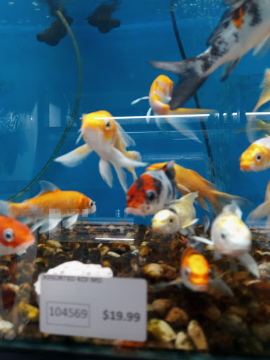 Pet Supply Store «Pet Supreme», reviews and photos, 12823 Foothill Blvd, Sylmar, CA 91342, USA