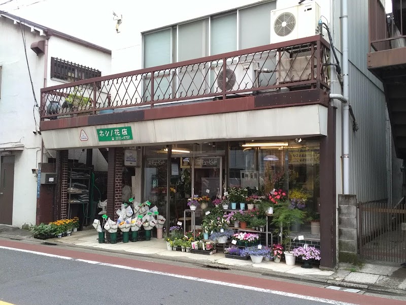 ホシノ花店