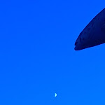 Photo n°6 de l'avis de Alex.a fait le 06/08/2022 à 17:09 sur le  Forellenstube à Reit im Winkl