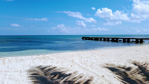 Pappagallo beach photo #2