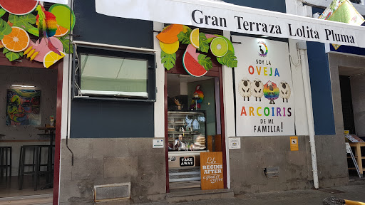 Bares de gatos en Gran Canaria