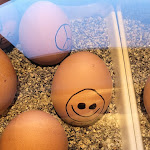 Photo n°5 de l'avis de Kerstin.z fait le 23/09/2022 à 18:18 sur le  Best Western Raphael Hotel Altona à Hamburg