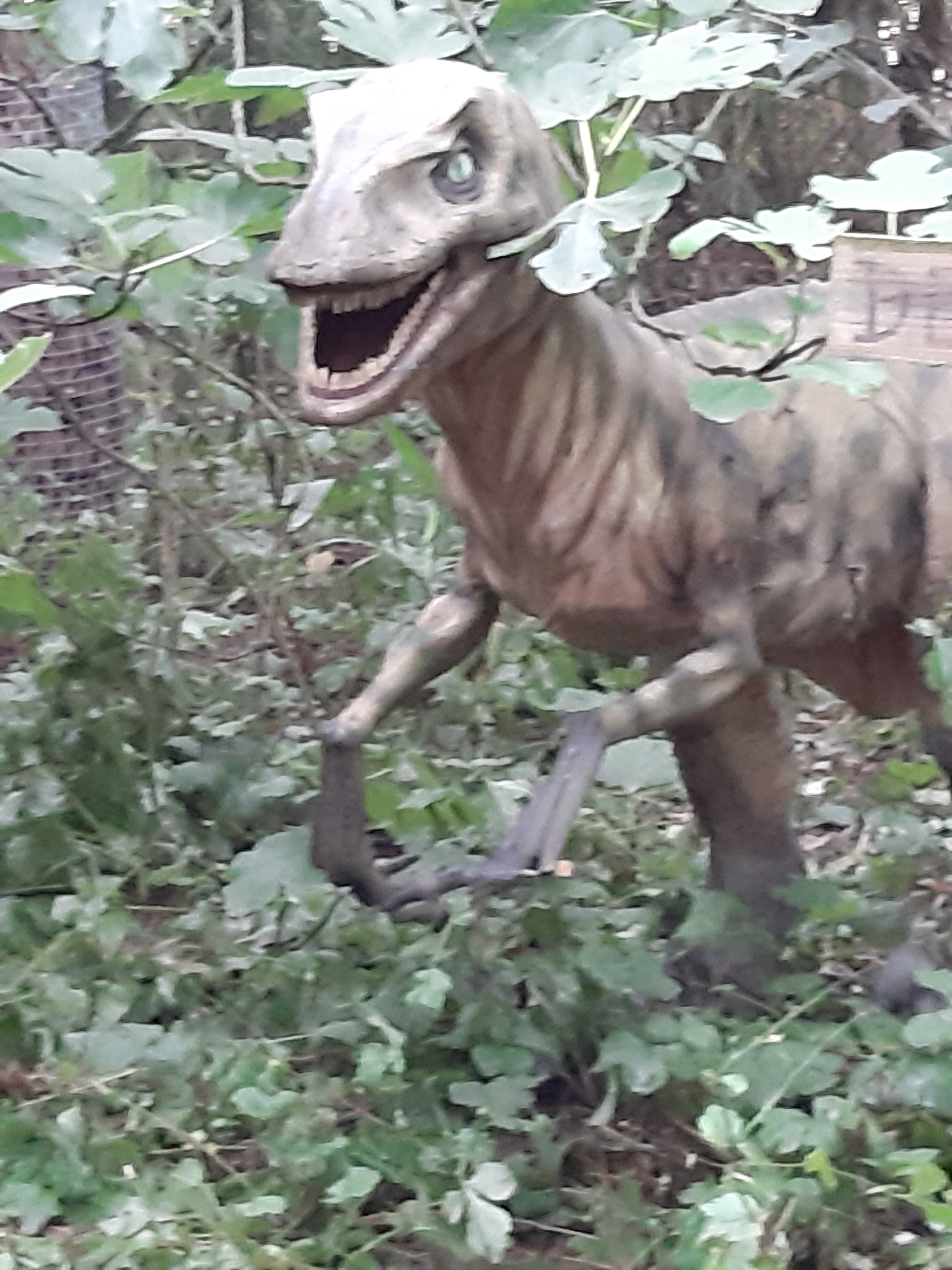 Photo n° 5 de l'avis de Cinthia.c fait le 19/08/2019 à 16:39
