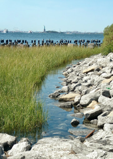 Park «Brooklyn Bridge Park», reviews and photos, 334 Furman St, Brooklyn, NY 11201, USA