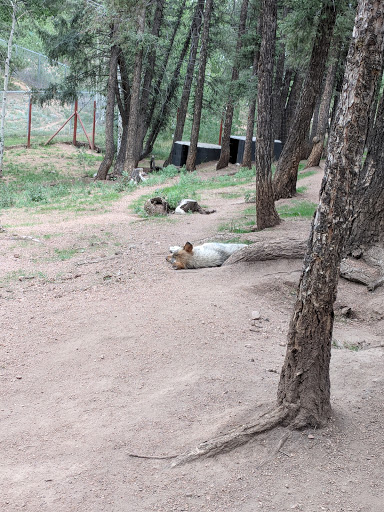 Wildlife Park «Colorado Wolf and Wildlife Center», reviews and photos, 4729 Twin Rocks Rd, Divide, CO 80814, USA