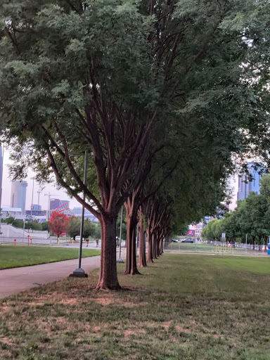 Stadium «Nissan Stadium», reviews and photos, 1 Titans Way, Nashville, TN 37213, USA