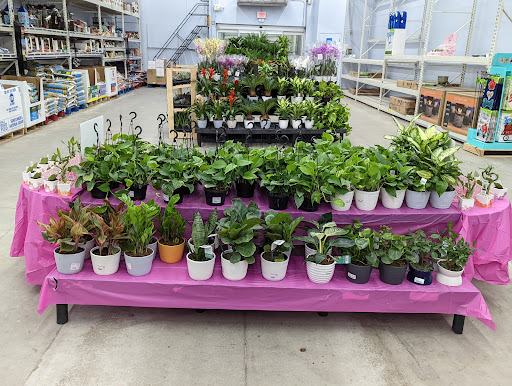 Department Store «Walmart Supercenter», reviews and photos, 33 Sherwood Dr, Tilton, NH 03276, USA