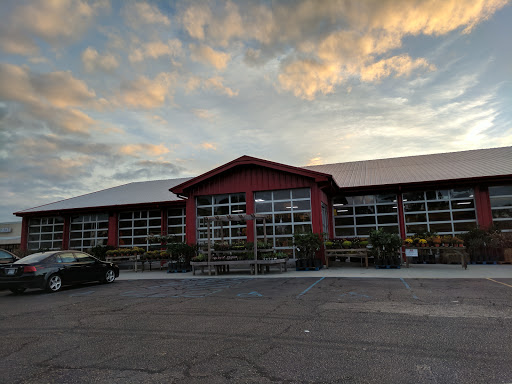 Produce Market «Southside Produce Co Inc», reviews and photos, 8240 Perkins Rd, Baton Rouge, LA 70810, USA