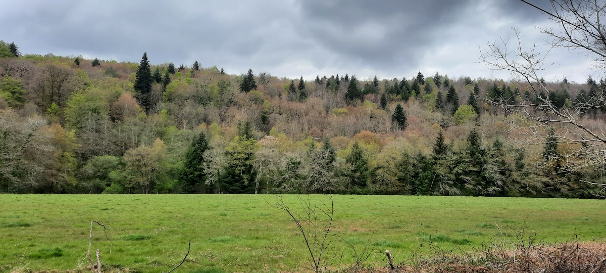 Stopplaats zilveren rivier à Huelgoat (Finistère 29)