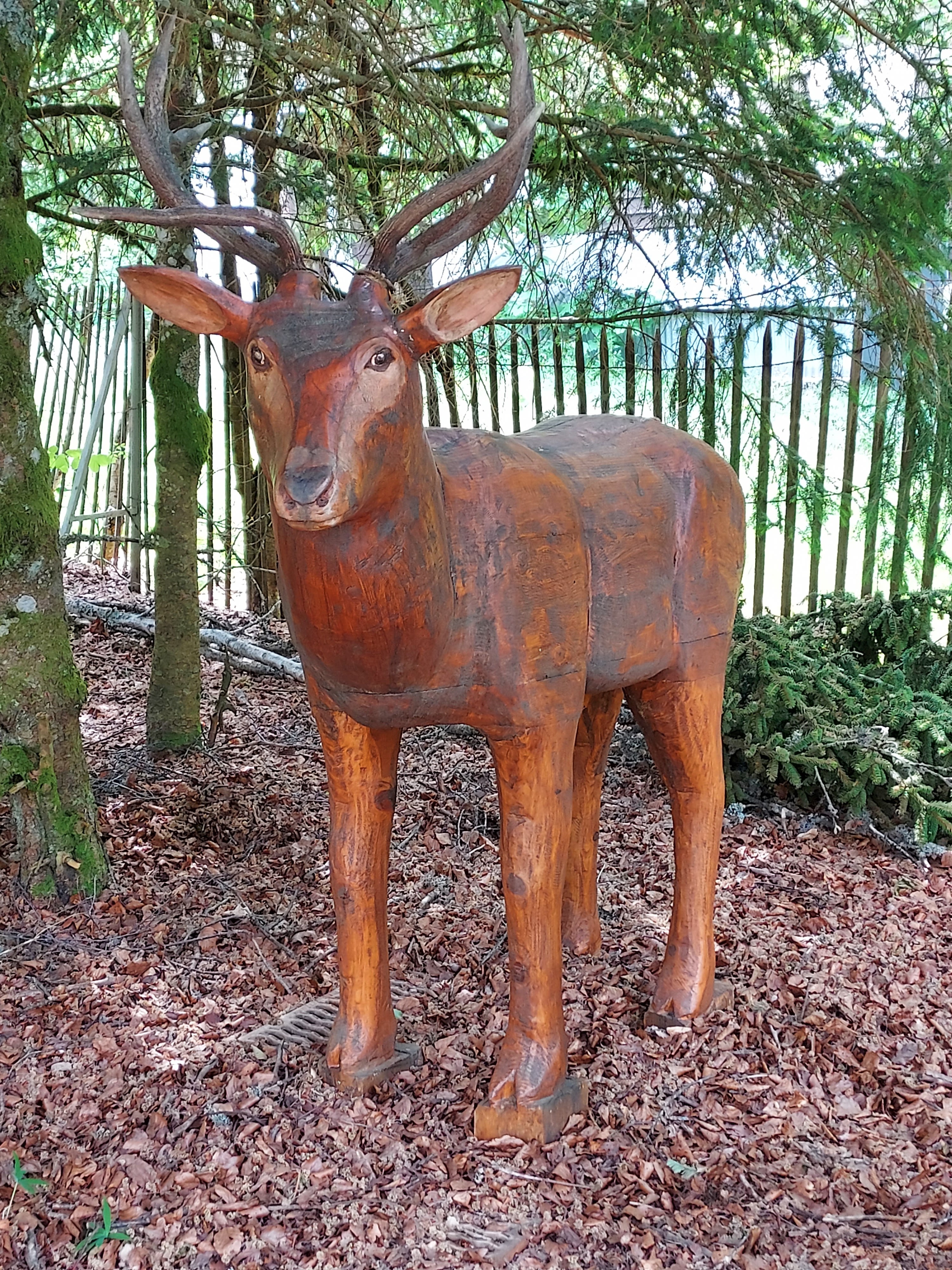 Photo n° 5 de l'avis de Quentin.r fait le 27/06/2023 à 17:39