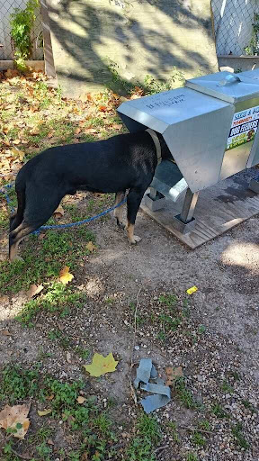 Sarge&Blue K9 Feeders