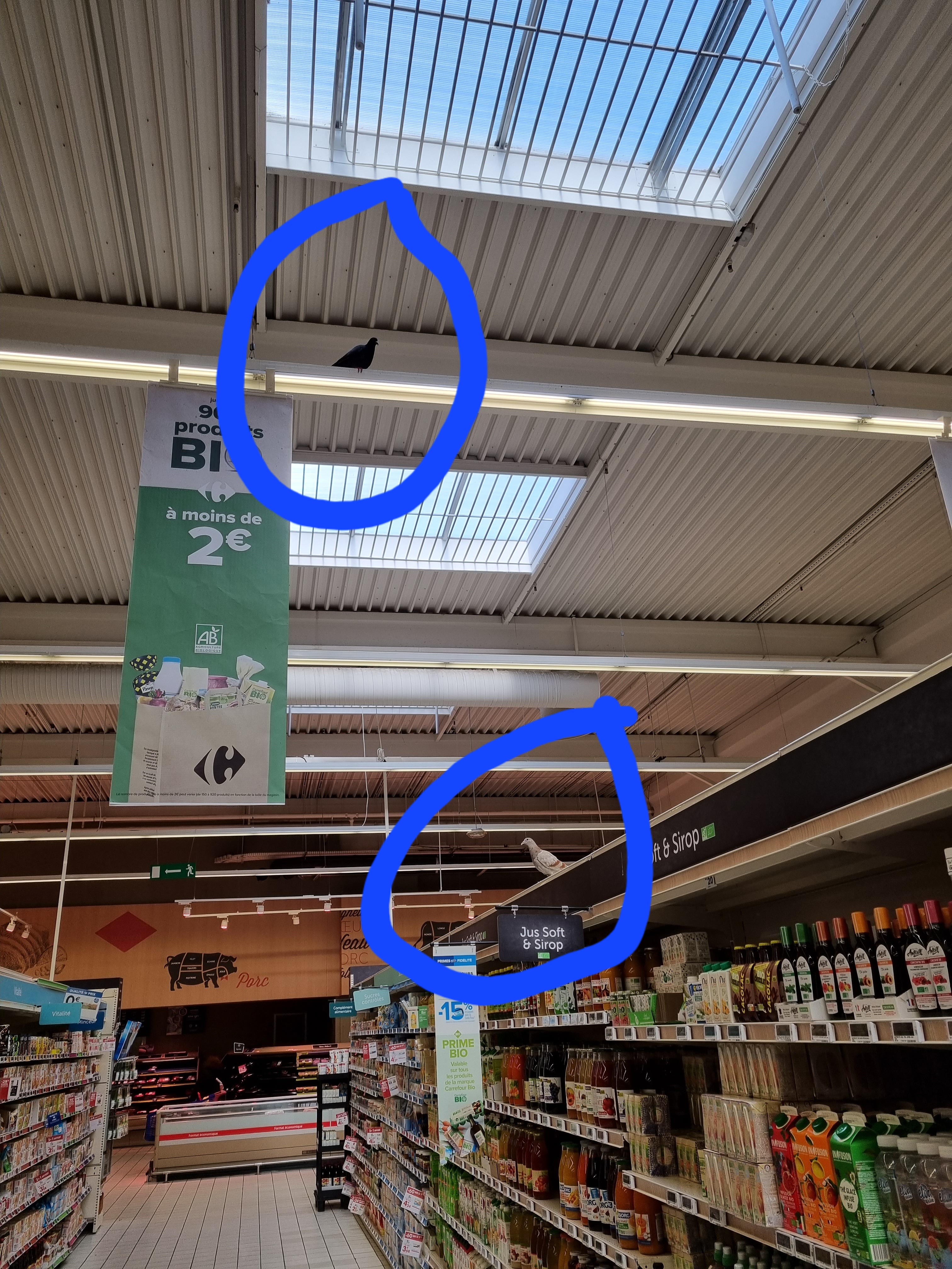 Photo n° 1 de l'avis de Jérôme.a fait le 05/01/2022 à 13:27