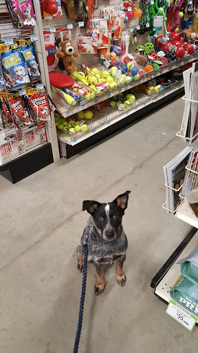 Home Improvement Store «Tractor Supply Co.», reviews and photos, 985 Octorara Trail, Parkesburg, PA 19365, USA