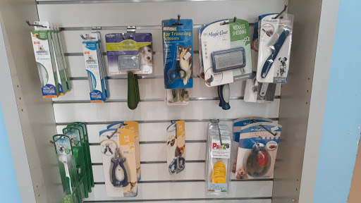 Pet Store «South Beach Pet Shop», reviews and photos, 634 6th St, Miami Beach, FL 33139, USA