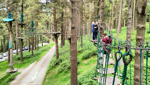 Zipit Forest Adventures