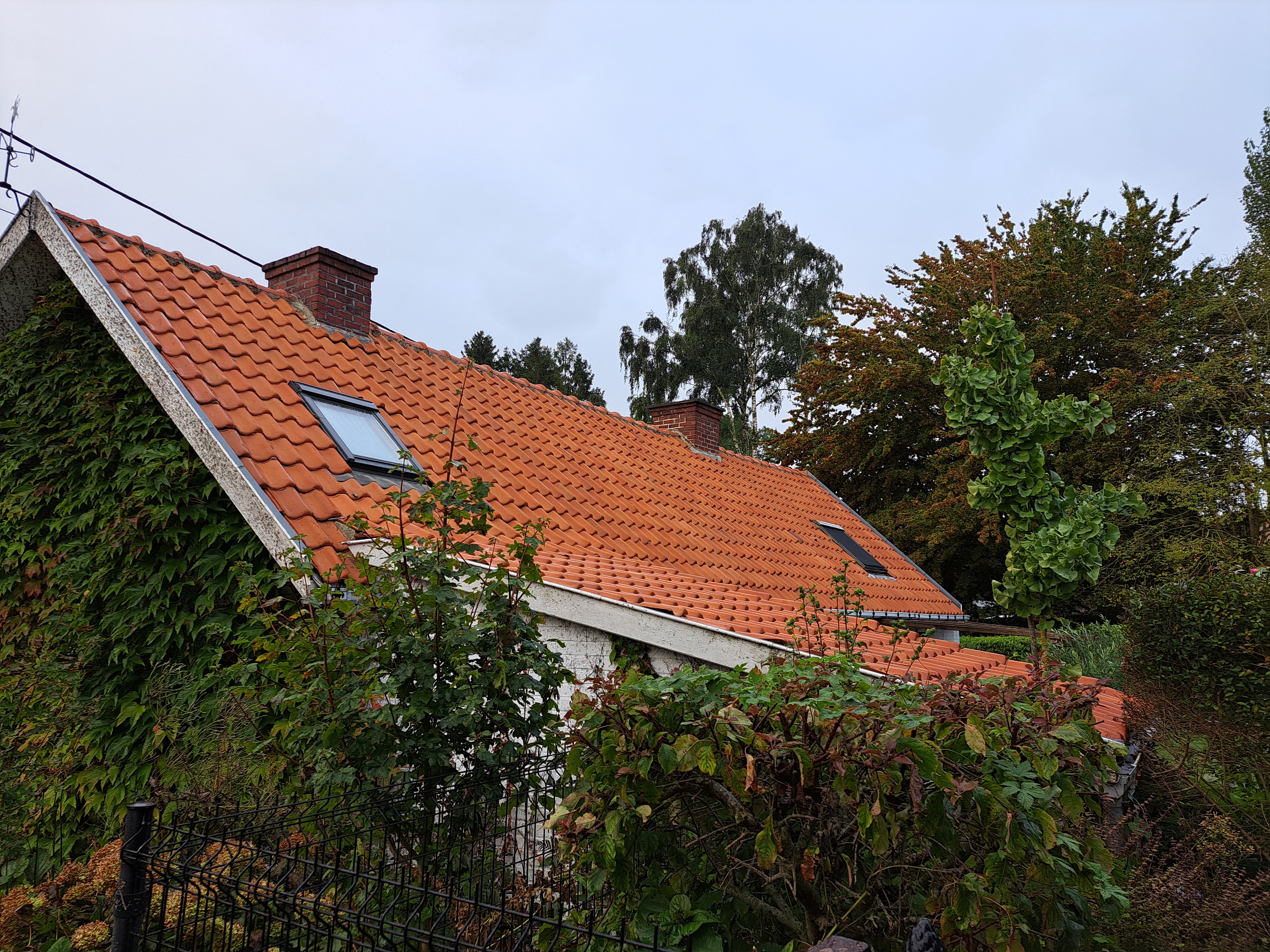 Photo n° 1 de l'avis de Helene.e fait le 30/09/2023 à 15:57