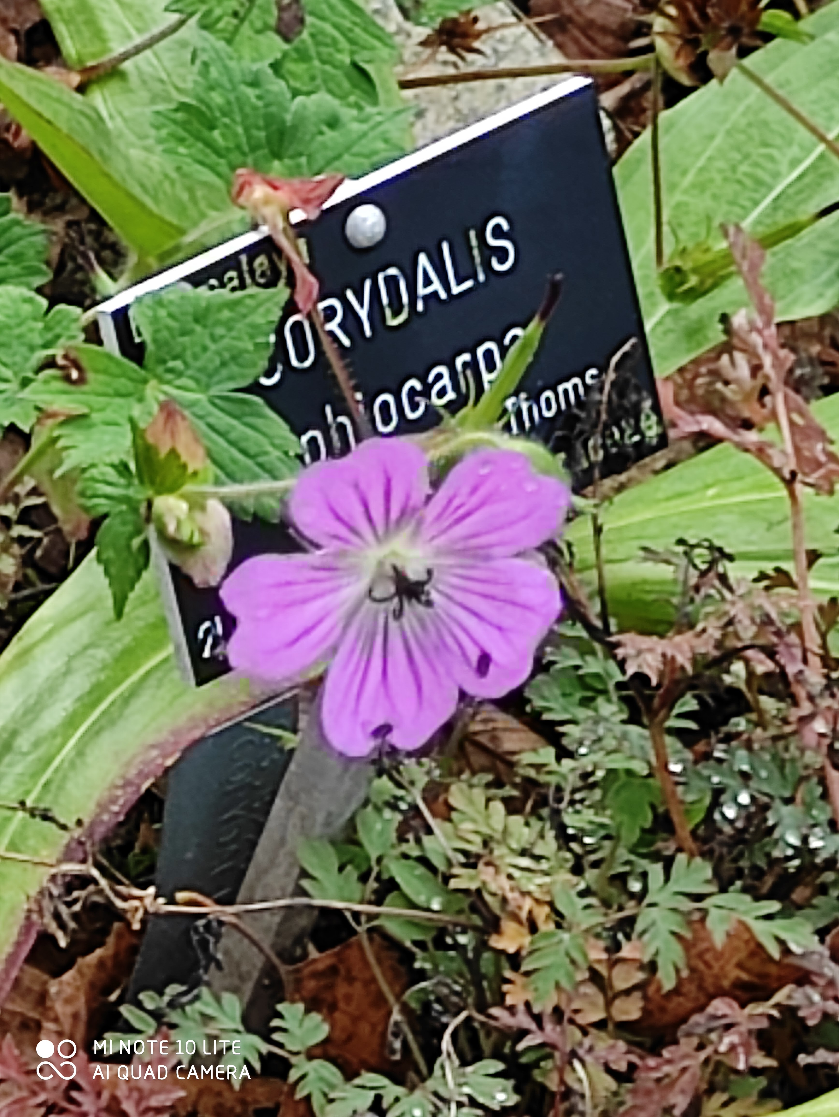 Photo n° 2 de l'avis de Isabelle.o fait le 27/09/2021 à 09:18