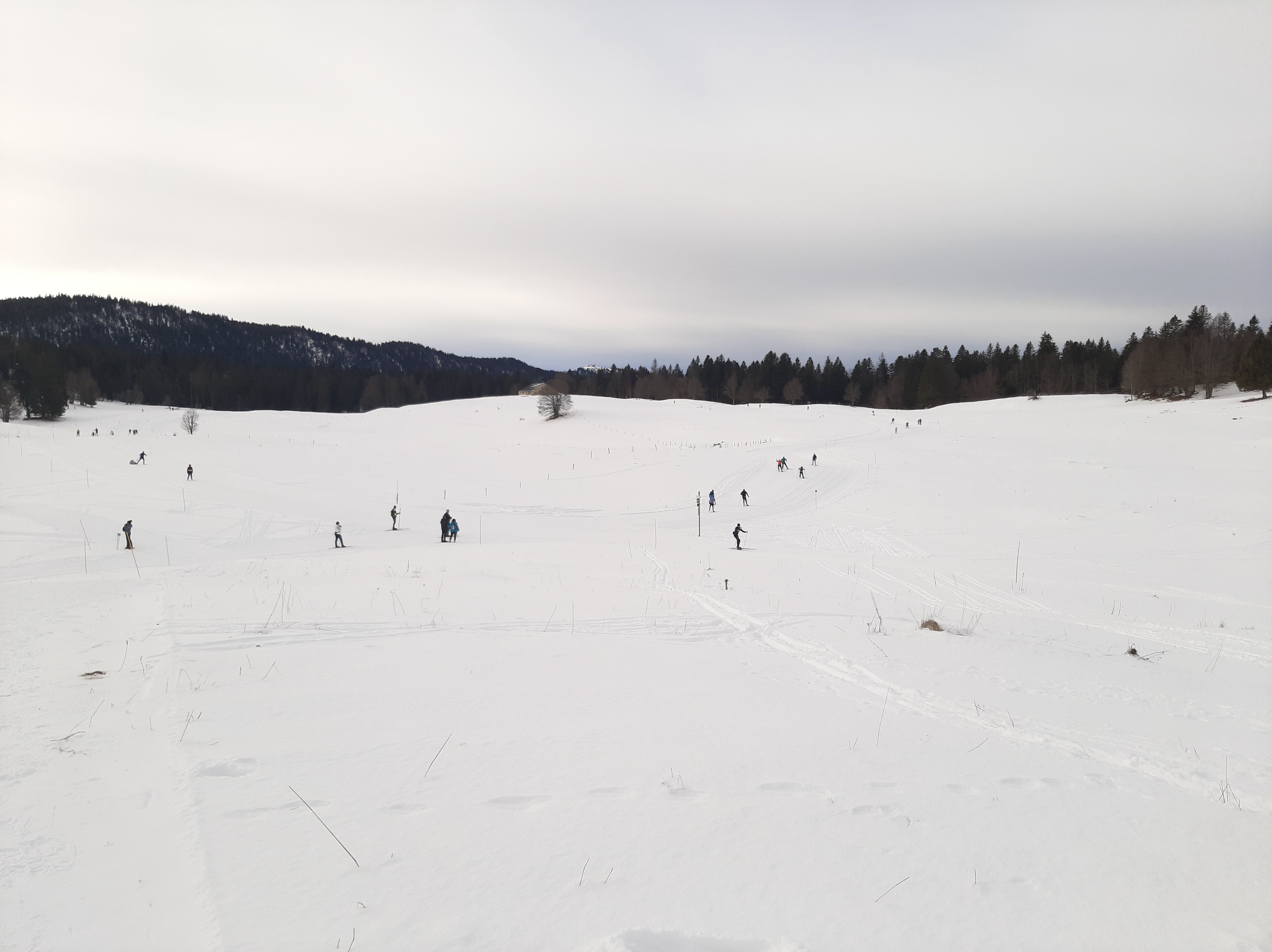 Photo n° 1 de l'avis de LEBOUIS.a fait le 16/01/2024 à 15:41