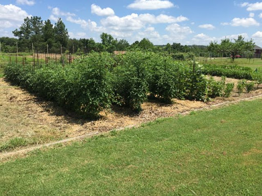 High-Fence Farm LLC Find Farm in Jacksonville news