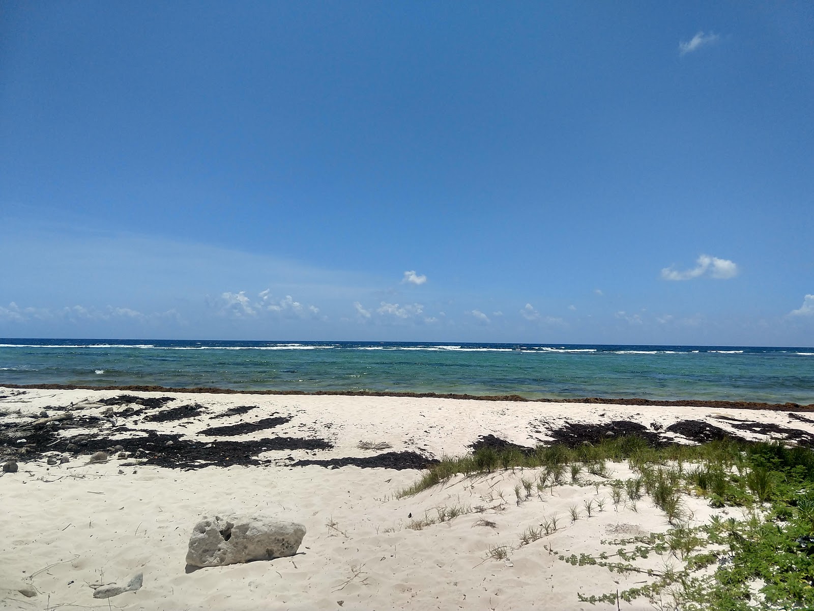Φωτογραφία του Playa Chemuyil ubicado en área natural