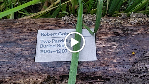 Modern Art Museum «Glenstone», reviews and photos, 12002 Glen Rd, Potomac, MD 20854, USA