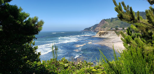 Winery «Flying Dutchman Winery», reviews and photos, 915 1st St, Otter Rock, OR 97369, USA