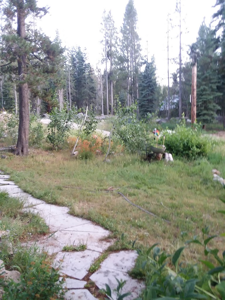 Fred's Hair Design 96161