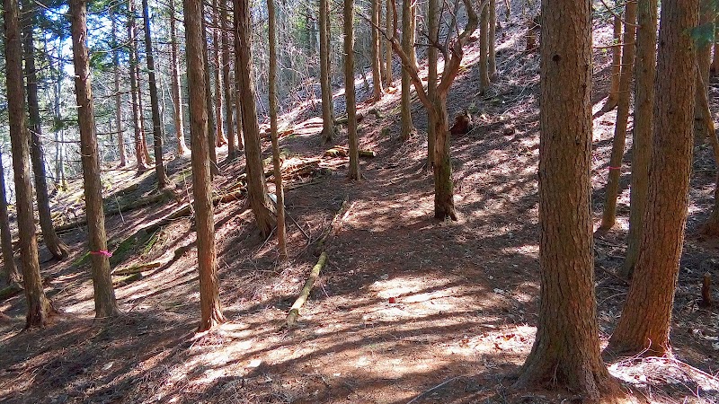 出頂ノ茶屋跡