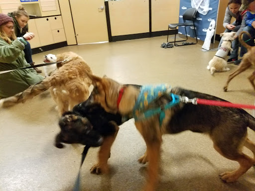 Pet Supply Store «PetSmart», reviews and photos, 4142 Commonwealth Ave, Eau Claire, WI 54701, USA