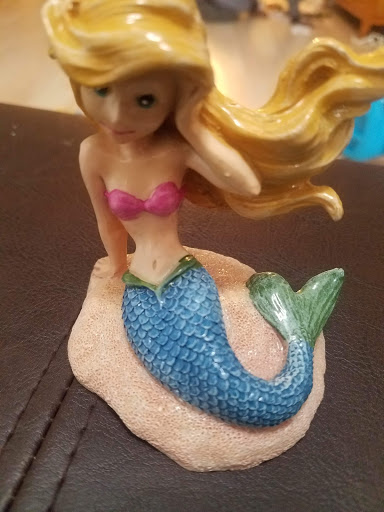 Pet Supply Store «PetSmart», reviews and photos, 1236 Greenbrier Pkwy, Chesapeake, VA 23320, USA