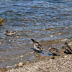 Photo n°4 de l'avis de Ilaria.i fait le 13/09/2020 à 21:57 sur le  Hotel Mare à Portoferraio