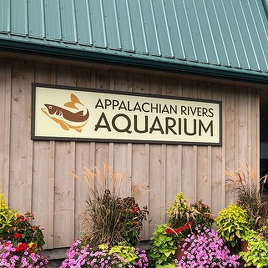 Appalachian Rivers Aquarium