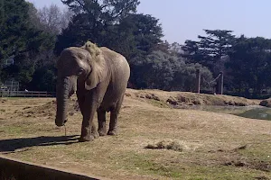 Johannesburg City Parks & Zoo image