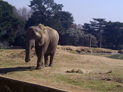 Johannesburg City Parks & Zoo House