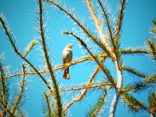 Park «Powell Butte Nature Park», reviews and photos, 16160 SE Powell Blvd, Portland, OR 97236, USA