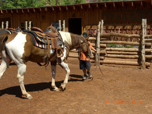 Winery «Moab Castle Creek Winery», reviews and photos, 14 UT-128, Moab, UT 84532, USA