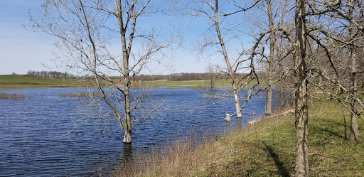 Nature Preserve «Shoe Factory Road Prairie Nature Preserve», reviews and photos, Shoe Factory Rd, Hoffman Estates, IL 60192, USA