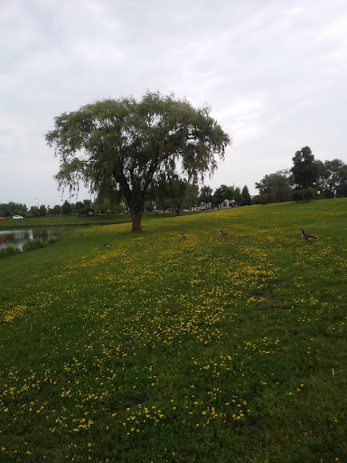 Park «Carol Stream Park District», reviews and photos, 849 W Lies Rd, Carol Stream, IL 60188, USA