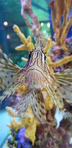 Department Store «Century 21 Department Store», reviews and photos, 200 Bergen Town Center, Paramus, NJ 07652, USA