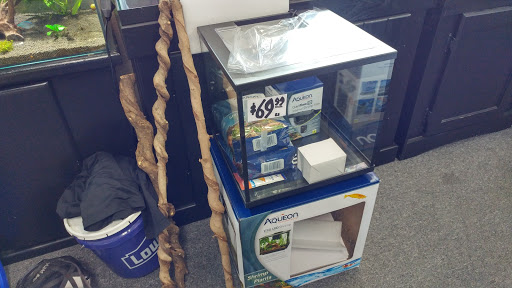 Tropical Fish Store «Belpre Aquarium & Pet Shop», reviews and photos, 1806 Washington Blvd, Belpre, OH 45714, USA