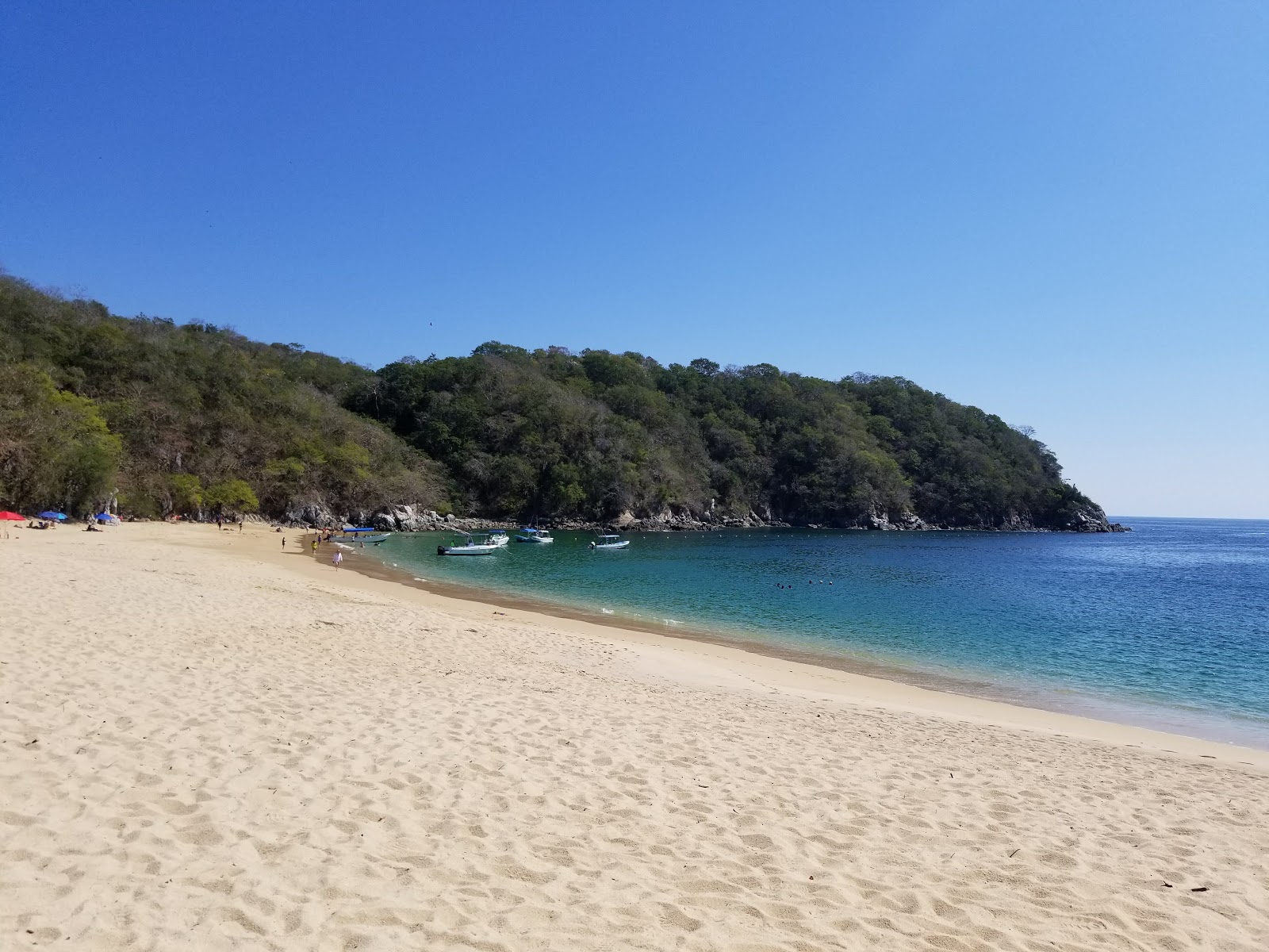 Φωτογραφία του Organo beach και το όμορφο τοπίο του