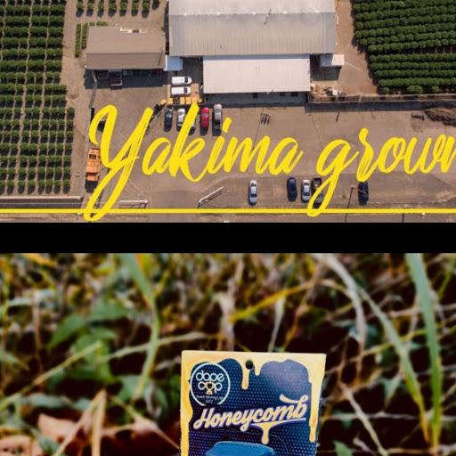 Cannabis store «Sweet Relief Cannabis Boutique», reviews and photos, 1009 E Yakima Ave, Yakima, WA 98901, USA