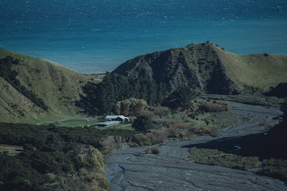 Kawakawa Station Walk