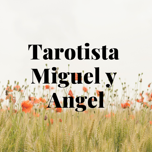 Tarotista Miguel y Angel