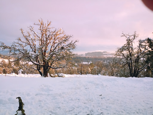 Park «Willamette Heights Park», reviews and photos, 508 Valley View, Springfield, OR 97477, USA